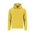Sudadera niño con capucha forrada Ama 11-12
