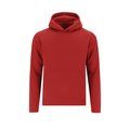 Sudadera niño con capucha forrada Roj 9-10