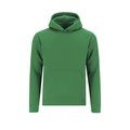 Sudadera niño con capucha forrada Ver 9-10
