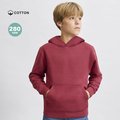 Sudadera niño con capucha forrada