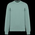 Sudadera oversize unisex Sage XL