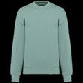 Sudadera oversize unisex Sage XXL