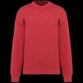 Sudadera oversize unisex Terracotta Red XXL