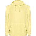 Sudadera unisex con capucha acabado lavado ácido