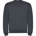 Sudadera Unisex Colores con Elastano Ebano L