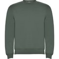 Sudadera Unisex Colores con Elastano Verde Laurel 1/2