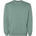 Sudadera unisex cuello redondo Verde Pato Lavado S