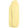 Sudadera unisex cuello redondo