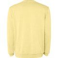 Sudadera unisex cuello redondo