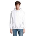 Sudadera Unisex Eco con Capucha Ceniza S