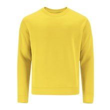 Sudadera adulto unisex de algodón Ama Xs