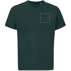 Sudadera Algodón Orgánico Corte Moderno | Pecho | 100 x 100