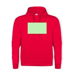 Sudadera Capucha Adulto 280g/m2 | Area 3 | 280 x 170