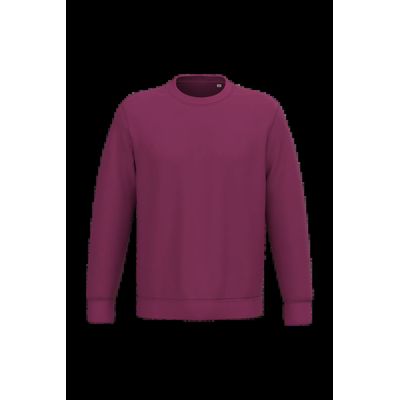 Sudadera lisa Unisex Cherry Purple Xxs