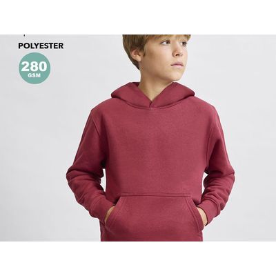 Sudadera niño con capucha forrada