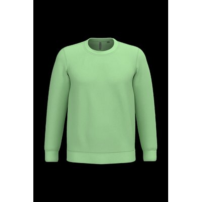 Sudadera algodón poliéster cuello redondo Apple Green Xl
