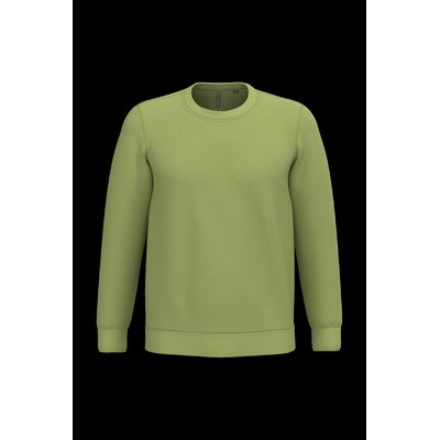 Sudadera algodón poliéster cuello redondo Pistachio S