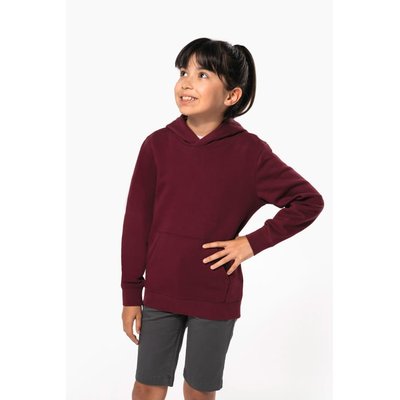 Sudadera capucha algodón orgánico niños
