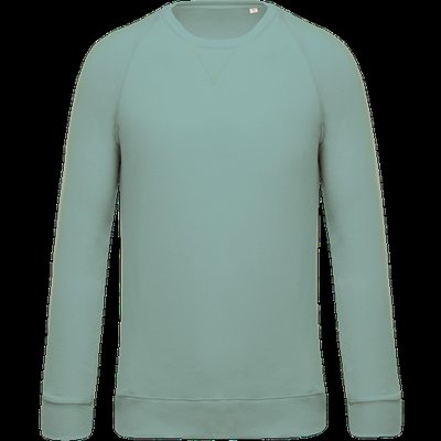 Sudadera colores lisos de algodón Sage 3XL
