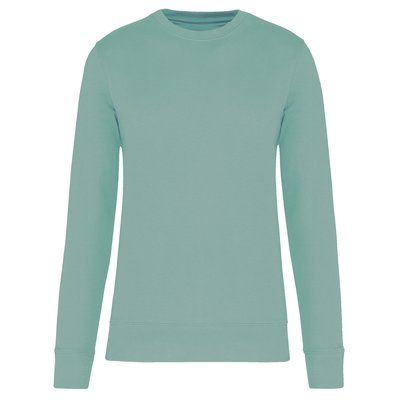 Sudadera cuello redondo ecorresponsable niños Sage 8/10 ans