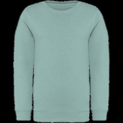 Sudadera infantil eco Jade Green 8/10 Ans