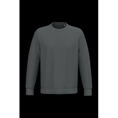 Sudadera lisa Unisex Iron Grey Xs