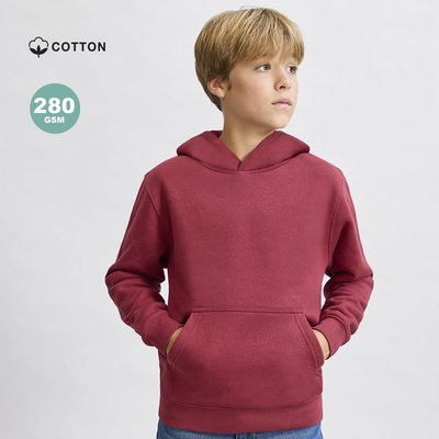 Sudadera niño con capucha forrada