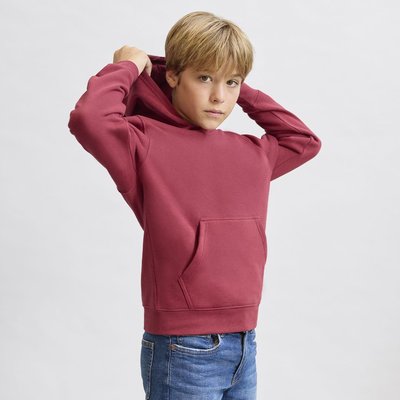 Sudadera niño con capucha forrada