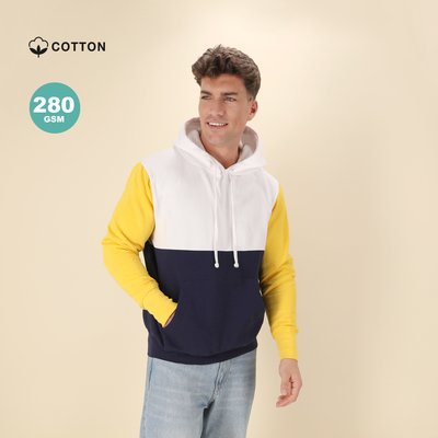 Sudadera Tricolor con Capucha