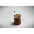 Taza doble pared para yerba mate con bombilla