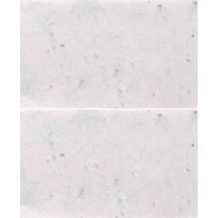 Tarjeta de papel para sembrar | Horizontal | 90 x 110
