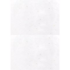 Tarjeta plegada de papel de semillas | Horizontal | 148 x 200