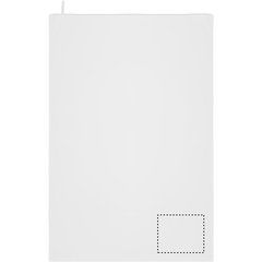 Toalla de microfibra 100x150cm | LOWER RIGHT | 280 x 230