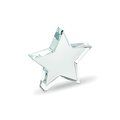Trofeo estrella de cristal