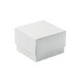 Trofeo con forma de cubo de cristal