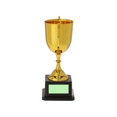 Trofeo copa dorado elegante con asas | Area 2 | 45 x 20