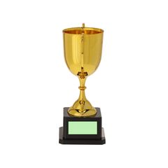 Trofeo copa dorado elegante con asas | Area 3 | 45 x 20