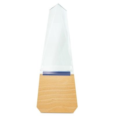 Trofeo de cristal en caja individual