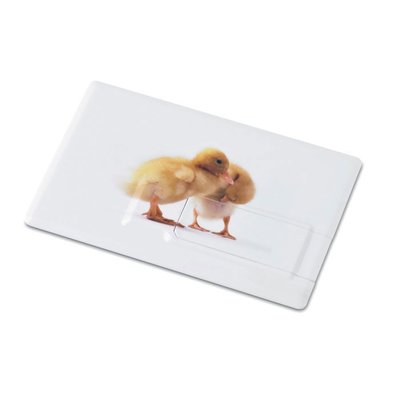 USB Flash 32GB Formato Tarjeta Crédito