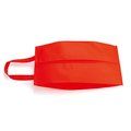 Zapatillero en non woven personalizado con asa Roj